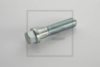 SCANI 00313228 Screw